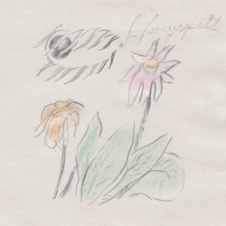 Honeyspell