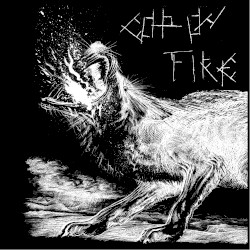 Discography