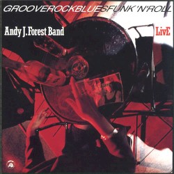 Grooverockbluesfunk'n'roll