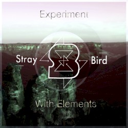 Experiment With Elements