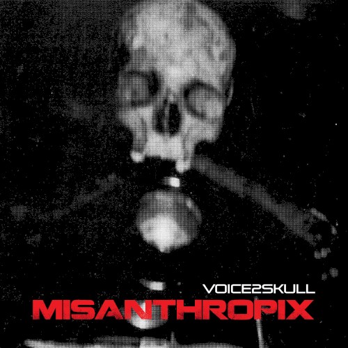 Voice2skull