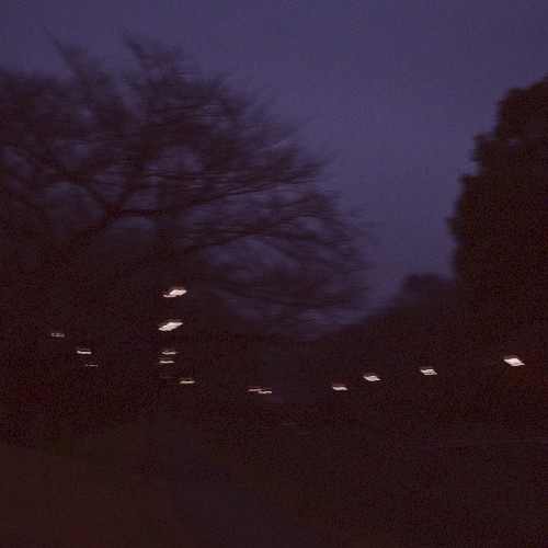 Pale Quiet