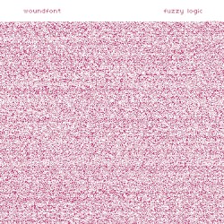 fuzzy logic