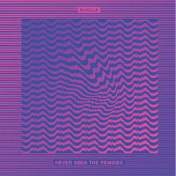 Never Seen The Remixes