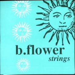 Strings