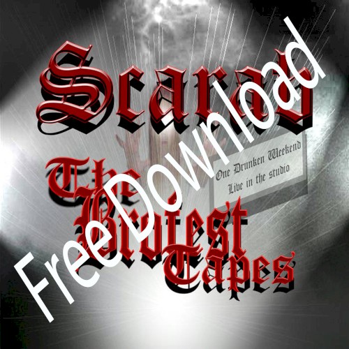The Brofest Tapes (One Drunken Weekend)