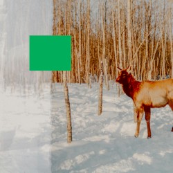 Green Screen