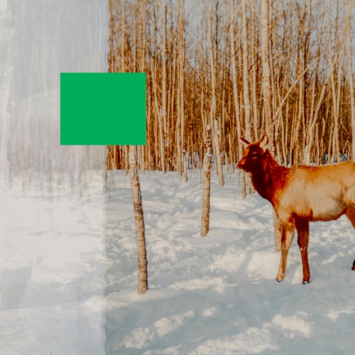 Green Screen