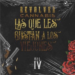 Las que les gustan a los viejones, vol. 4