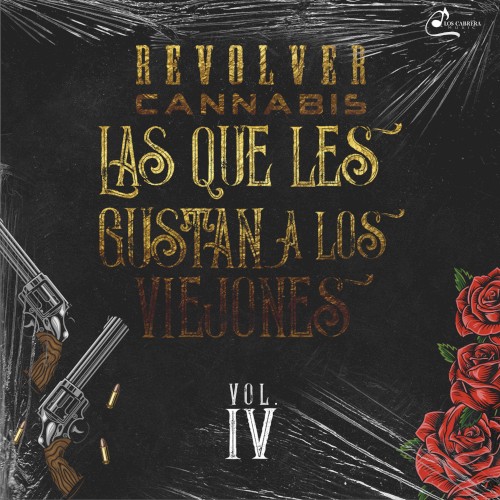 Las que les gustan a los viejones, vol. 4