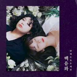 백유화