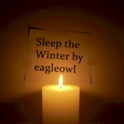 Sleep the Winter