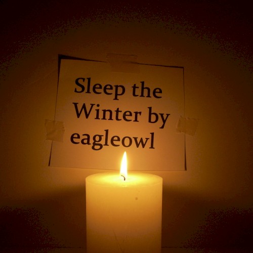 Sleep the Winter