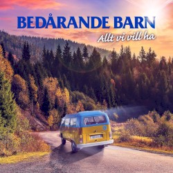 Allt vi vill ha