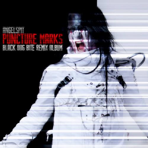 Puncture Marks: Black Dog Bite Remix Album