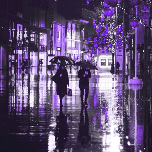 Night Walk