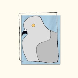 What Do You Think That Bird?