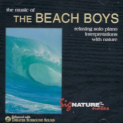 Fred Simon's Interpretation of the Beach Boys