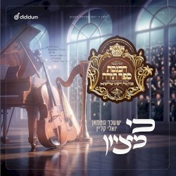 כי מציון