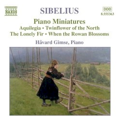 Piano Music, Volume 4: Piano Miniatures