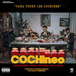 COCHIneo