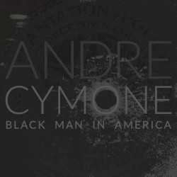Black Man In America