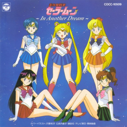 美少女戦士セーラームーン 〜In Another Dream〜