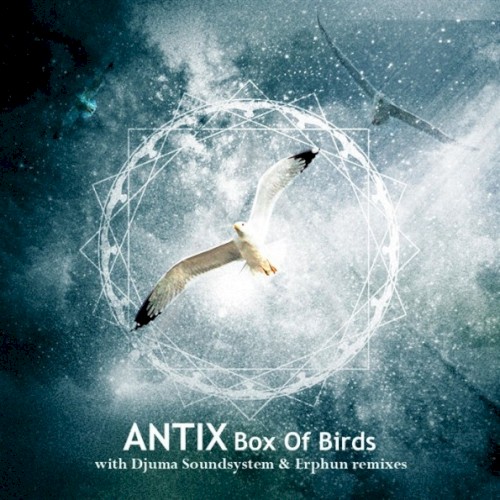 Box of Birds