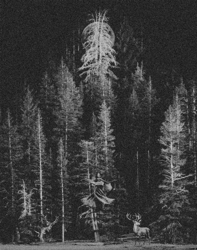 Discography