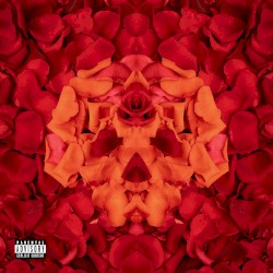Whiskey & Roses