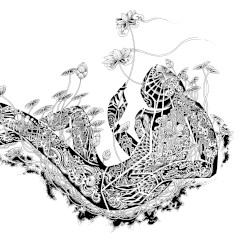 LOTUS ROOT