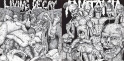 Undead Horrors / Mass Grave