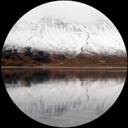 Reflections