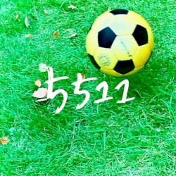 GO GO ELEVEN