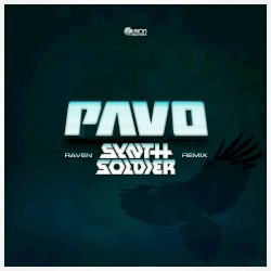 Raven (Synthsoldier Remix)