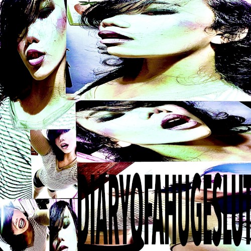 DIARYOFAHUGESLUT