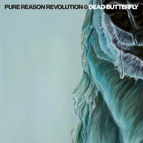 Dead Butterfly