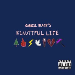 Beautiful Life