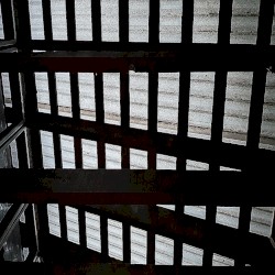 Roofline Raindrops