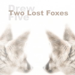 Two Lost Foxes