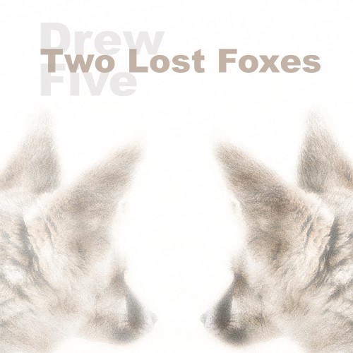 Two Lost Foxes