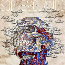 Sobrevolando Instrumental