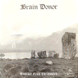 Wasted Fuzz Excessive