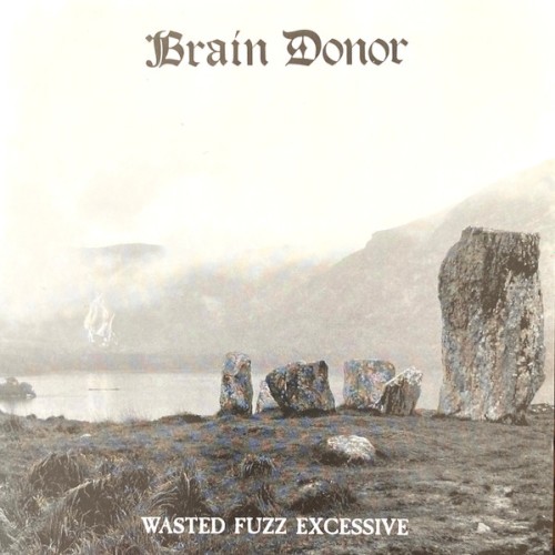 Wasted Fuzz Excessive