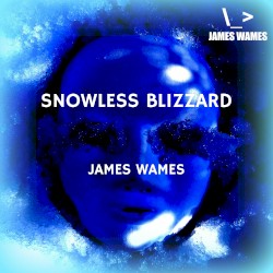 Snowless Blizzard