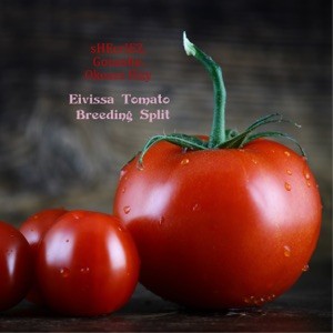 Eivissa Tomato Breeding Split