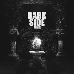DARKSIDE (Besomorph remix)