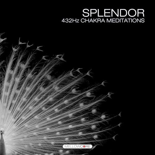 Splendor