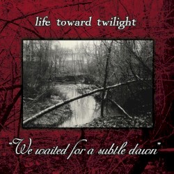 We Waited for a Subtle Dawn