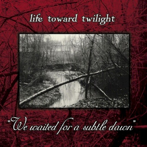 We Waited for a Subtle Dawn